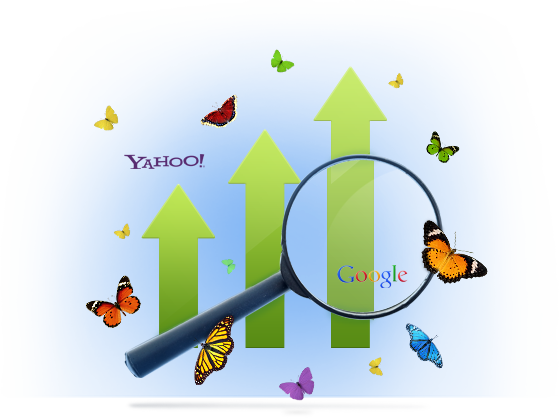 Search Engine Optimization