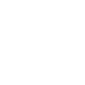 Medora Logo